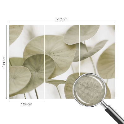 Autocolante de parede fotográfico Elegância natural