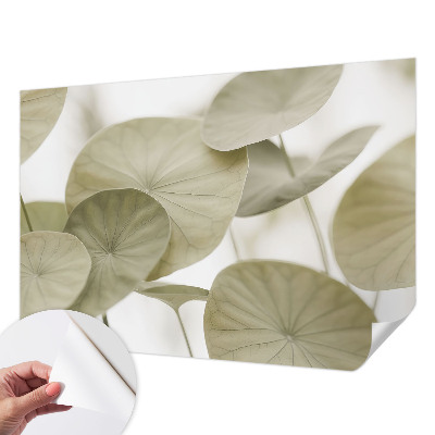 Autocolante de parede fotográfico Elegância natural