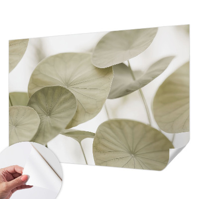 Autocolante de parede fotográfico Elegância natural