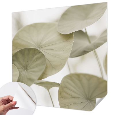 Autocolante de parede fotográfico Elegância natural