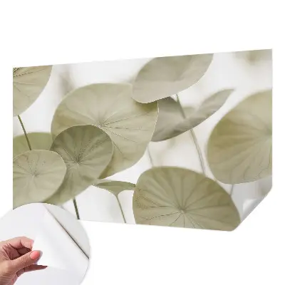 Autocolante de parede fotográfico com design Elegância natural