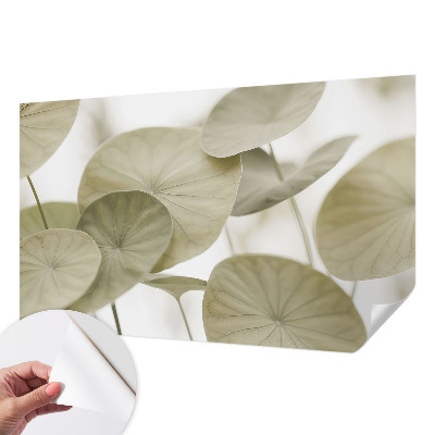Autocolante de parede fotográfico Elegância natural