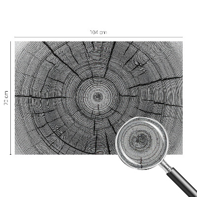 Autocolante de parede fotográfico Harmonia da floresta