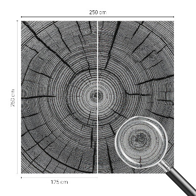 Autocolante de parede fotográfico Harmonia da floresta