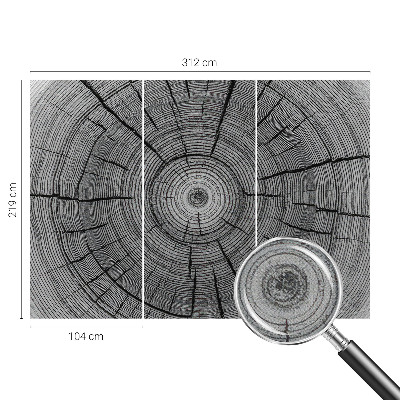 Autocolante de parede fotográfico Harmonia da floresta