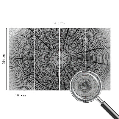 Autocolante de parede fotográfico Harmonia da floresta
