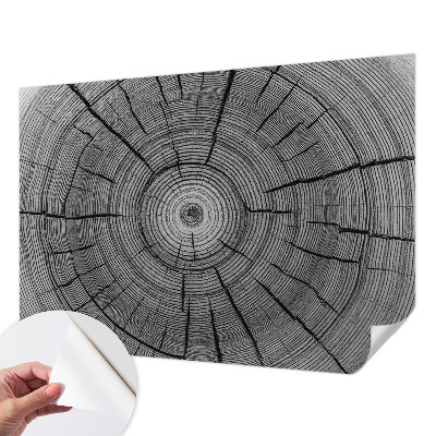 Autocolante de parede fotográfico Harmonia da floresta