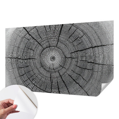 Autocolante de parede fotográfico Harmonia da floresta