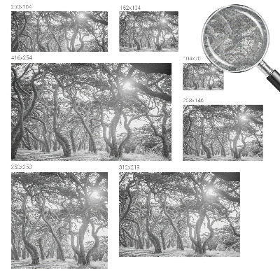 Papel de parede autocolante para quarto Floresta atmosférica