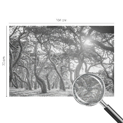 Papel de parede autocolante para quarto Floresta atmosférica