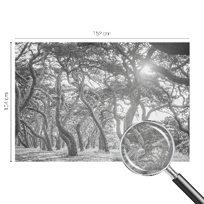 Papel de parede autocolante para quarto Floresta atmosférica