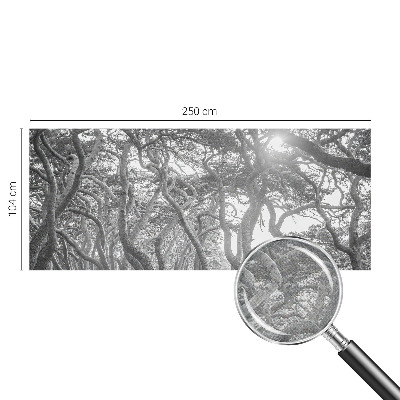 Papel de parede autocolante para quarto Floresta atmosférica