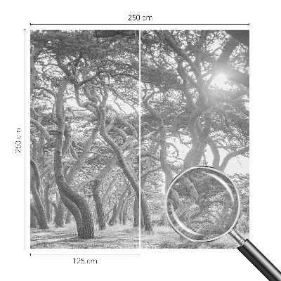 Papel de parede autocolante para quarto Floresta atmosférica