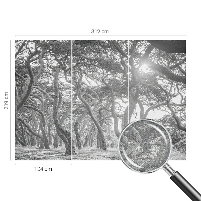 Papel de parede autocolante para quarto Floresta atmosférica