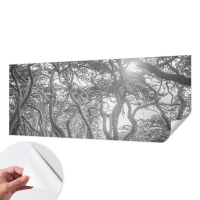 Papel de parede autocolante para quarto Floresta atmosférica