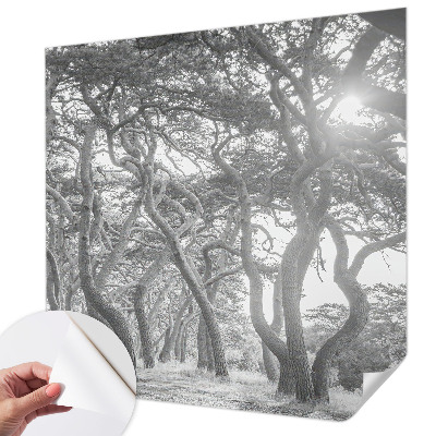 Papel de parede autocolante para quarto Floresta atmosférica