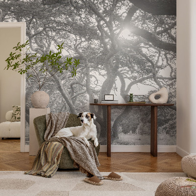Papel de parede autocolante para quarto Floresta atmosférica