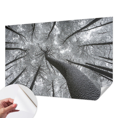 Papel de parede para criança Paisagem de inverno