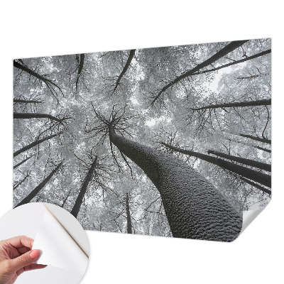 Papel de parede para criança Paisagem de inverno
