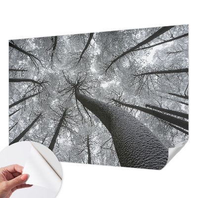 Papel de parede para criança Paisagem de inverno