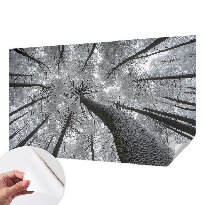 Papel de parede para criança Paisagem de inverno