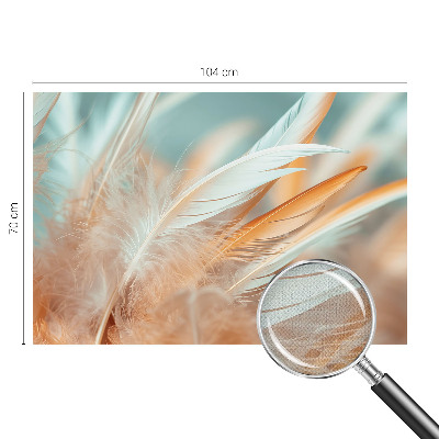 Autocolante de parede fotográfico Penas delicadas