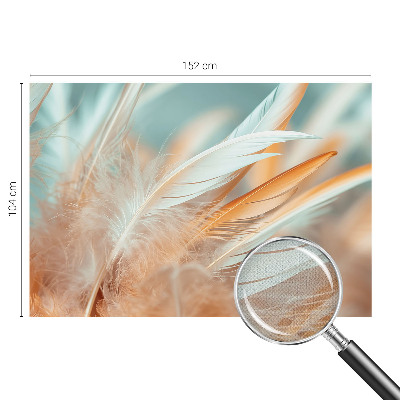 Autocolante de parede fotográfico Penas delicadas
