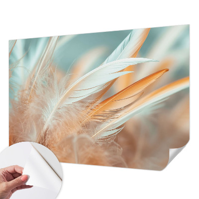 Autocolante de parede fotográfico Penas delicadas