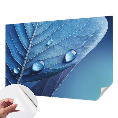 Papel de parede autocolante para quarto Folha Azul