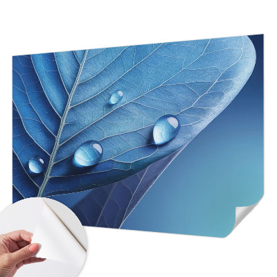 Papel de parede autocolante para quarto Folha Azul