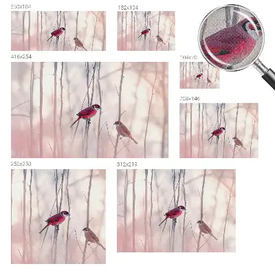 Papel de parede autocolante para sala com estampa de casal de pássaros