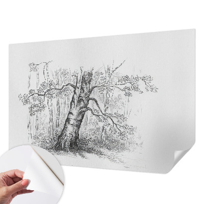 Papel de parede autocolante Árvore da floresta
