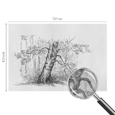Papel de parede autocolante Árvore da floresta