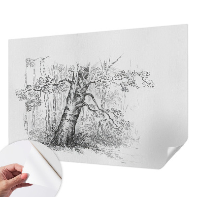 Papel de parede autocolante Árvore da floresta