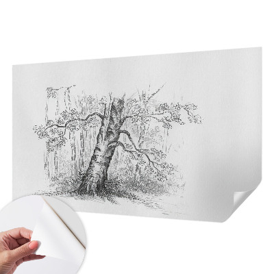 Papel de parede autocolante Árvore da floresta