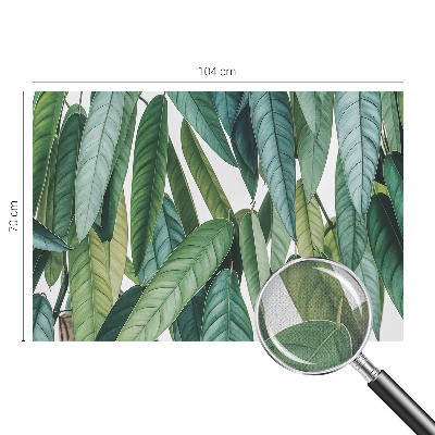 Papel de parede 3D Folhas naturais