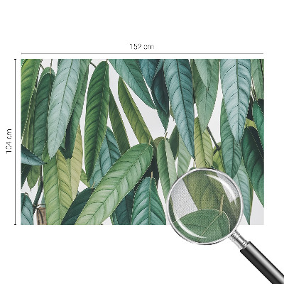 Papel de parede 3D Folhas naturais