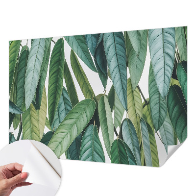 Papel de parede 3D Folhas naturais