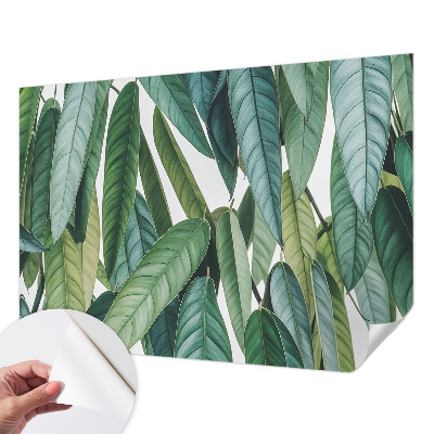 Papel de parede 3D Folhas naturais