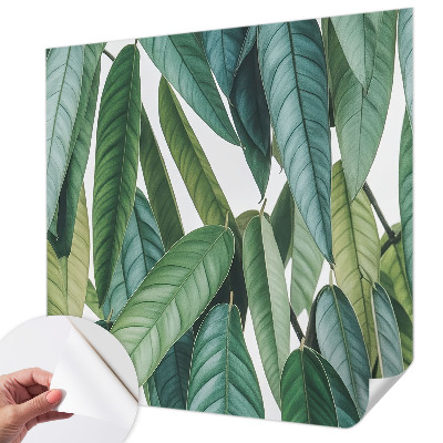 Papel de parede 3D Folhas naturais