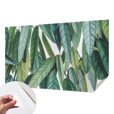 Papel de parede 3D Folhas naturais