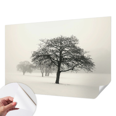 Papel de parede autocolante para sala Árvores de inverno