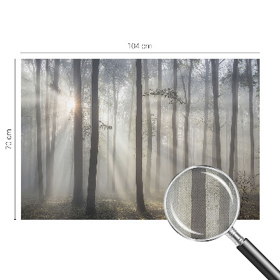 Papel de parede 3D Floresta Etérea