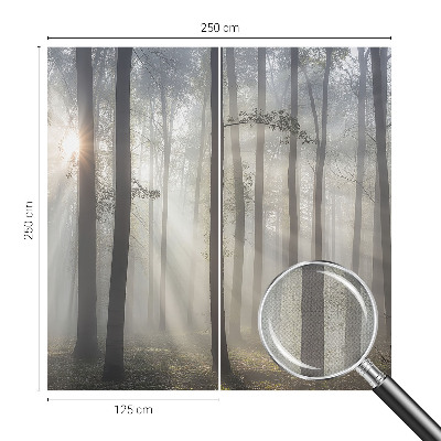 Papel de parede 3D Floresta Etérea