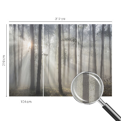 Papel de parede 3D Floresta Etérea