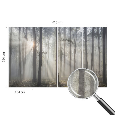 Papel de parede 3D Floresta Etérea