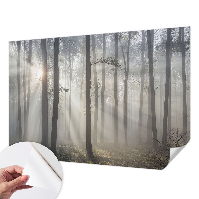 Papel de parede 3D Floresta Etérea