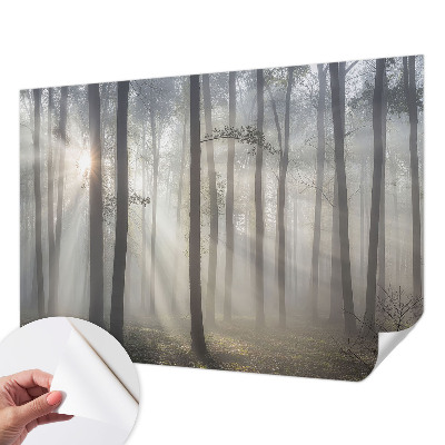 Papel de parede 3D Floresta Etérea