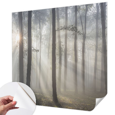 Papel de parede 3D Floresta Etérea