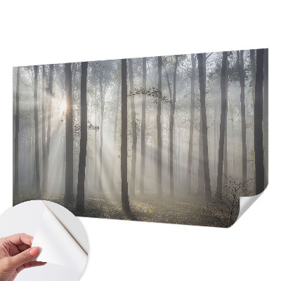 Papel de parede 3D Floresta Etérea